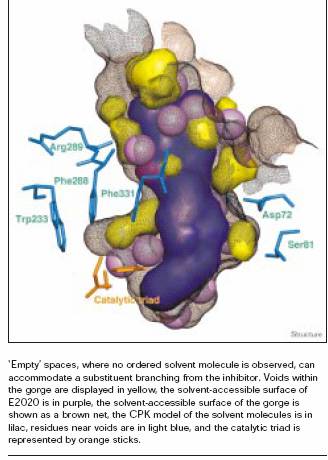 Donepezil Overnight Delivery