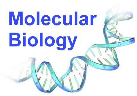 http://biology.kenyon.edu/BMB/mbio3.jpg