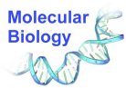 Molecular Biology major program