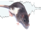 Defensive Behavior of Rats in Response to 22-kHz Ultrasonic Vocalizations