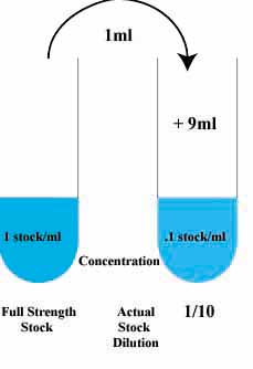 what is a serial dilution definition