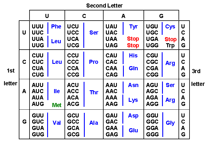 Chapter 5 Genetic Code Translation Splicing