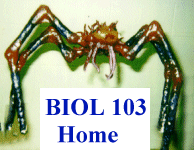 BIOL 103 Home Page