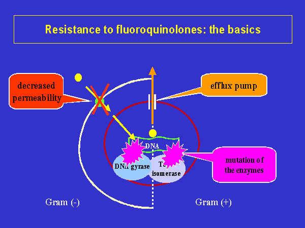 bacterial resistance mechanisms