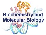Biochemistry and Molecular Biology Program
