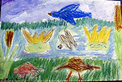 Wetland, Sarah (Second Grade)