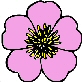 Mendel Flower