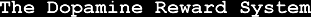 The Dopamine Reward System