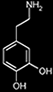 Link to Contents