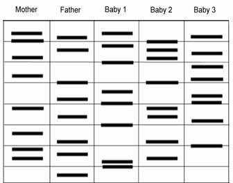 DNA Pattern Find - GenScript - Your Innovation Partner in Drug