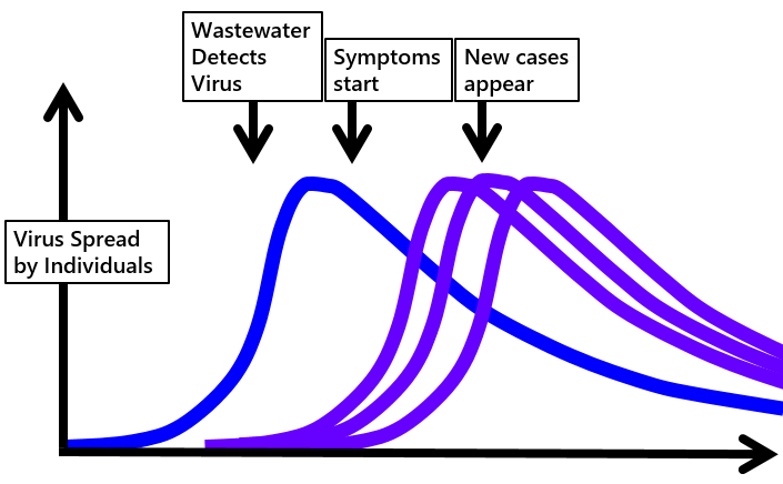 Virus spread time course